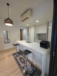 Newton Suites (D11), Apartment #587711951